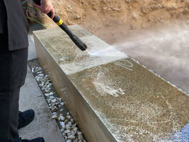 Best Pressure Washing Near Me  in Southmayd, TX