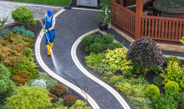 Best Pressure Washing Near Me  in Southmayd, TX
